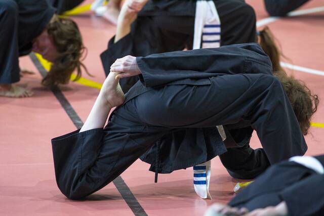 shutterstock_542168668_vovinam_L