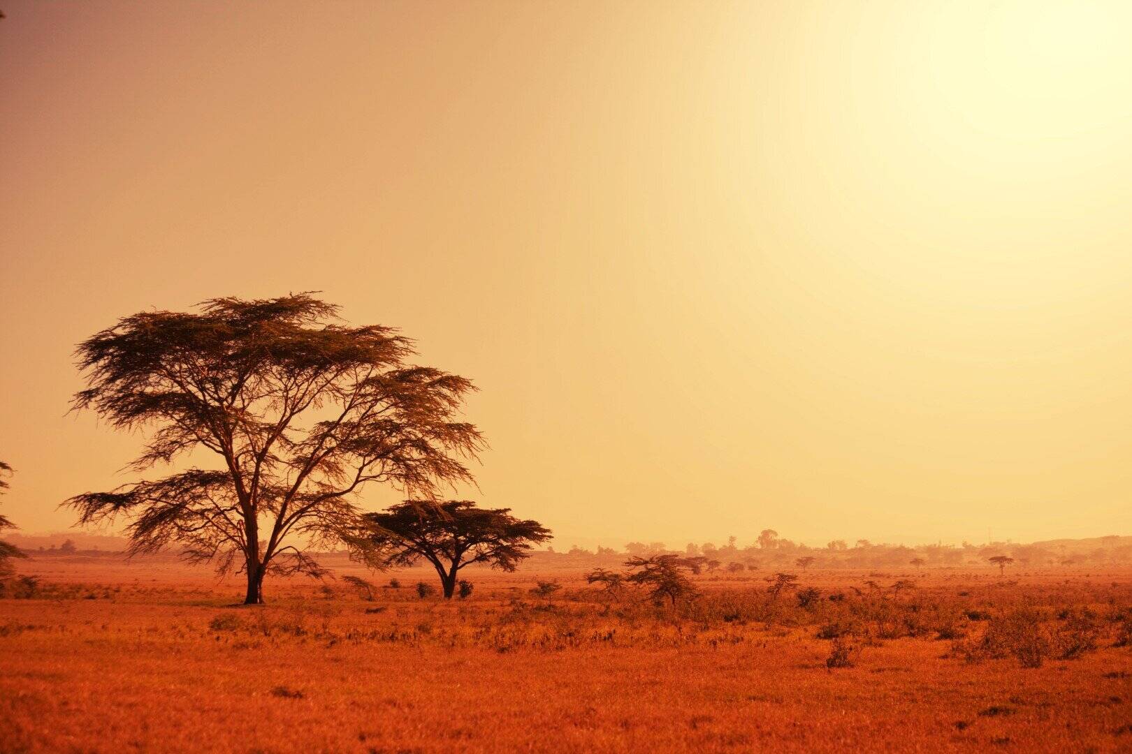 Namibië